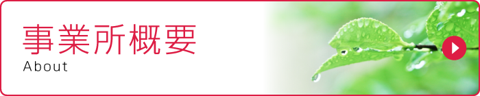 事業所概要